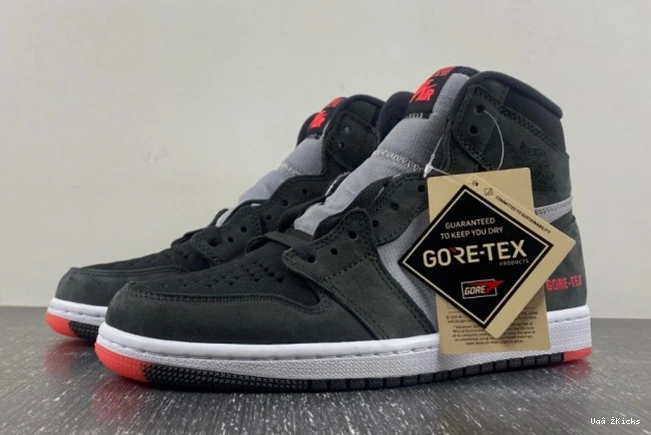 Retro 41 Infrared Gore-Tex High Black 1 Element Jordan  Refined DB2889-002 0731